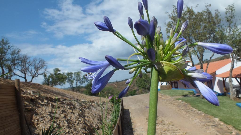 Monte Corgo Da Vaca Villa Saboia Ngoại thất bức ảnh